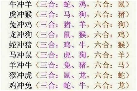 兔六合|属兔的和什么三合六合？